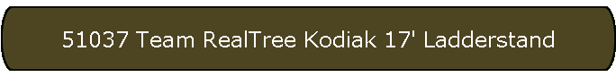 51037 Team RealTree Kodiak 17' Ladderstand